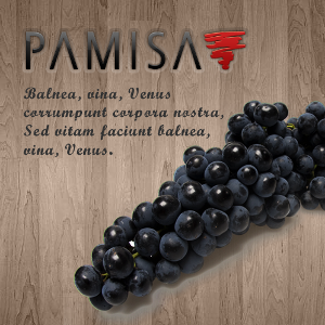 Pamisa Vins Sàrl